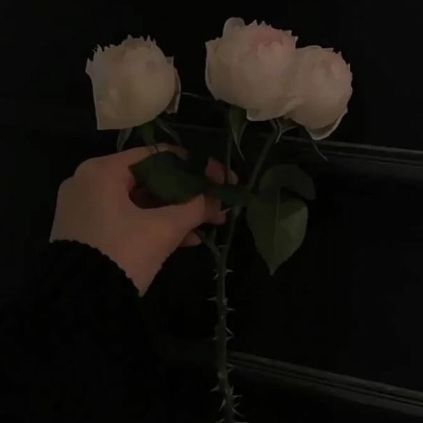 ������
