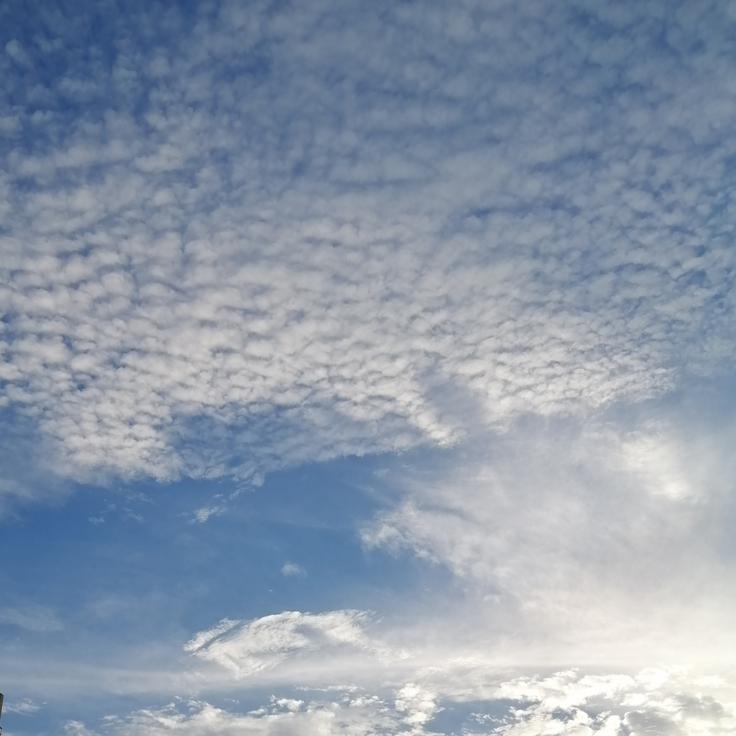 Է����