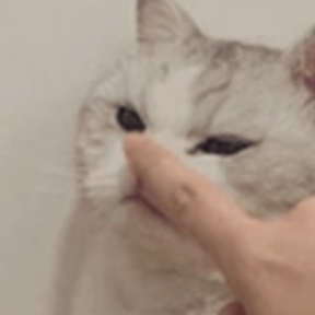 ������