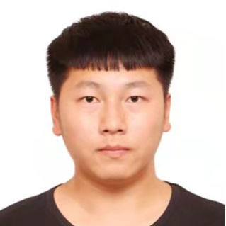 ʯ����