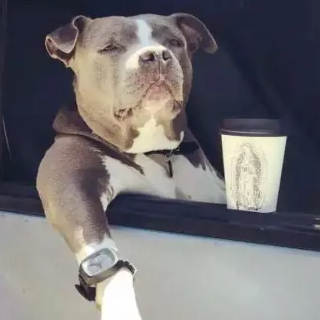 ������
