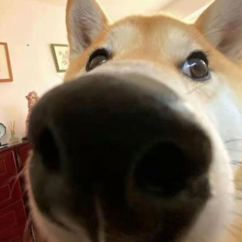 ������