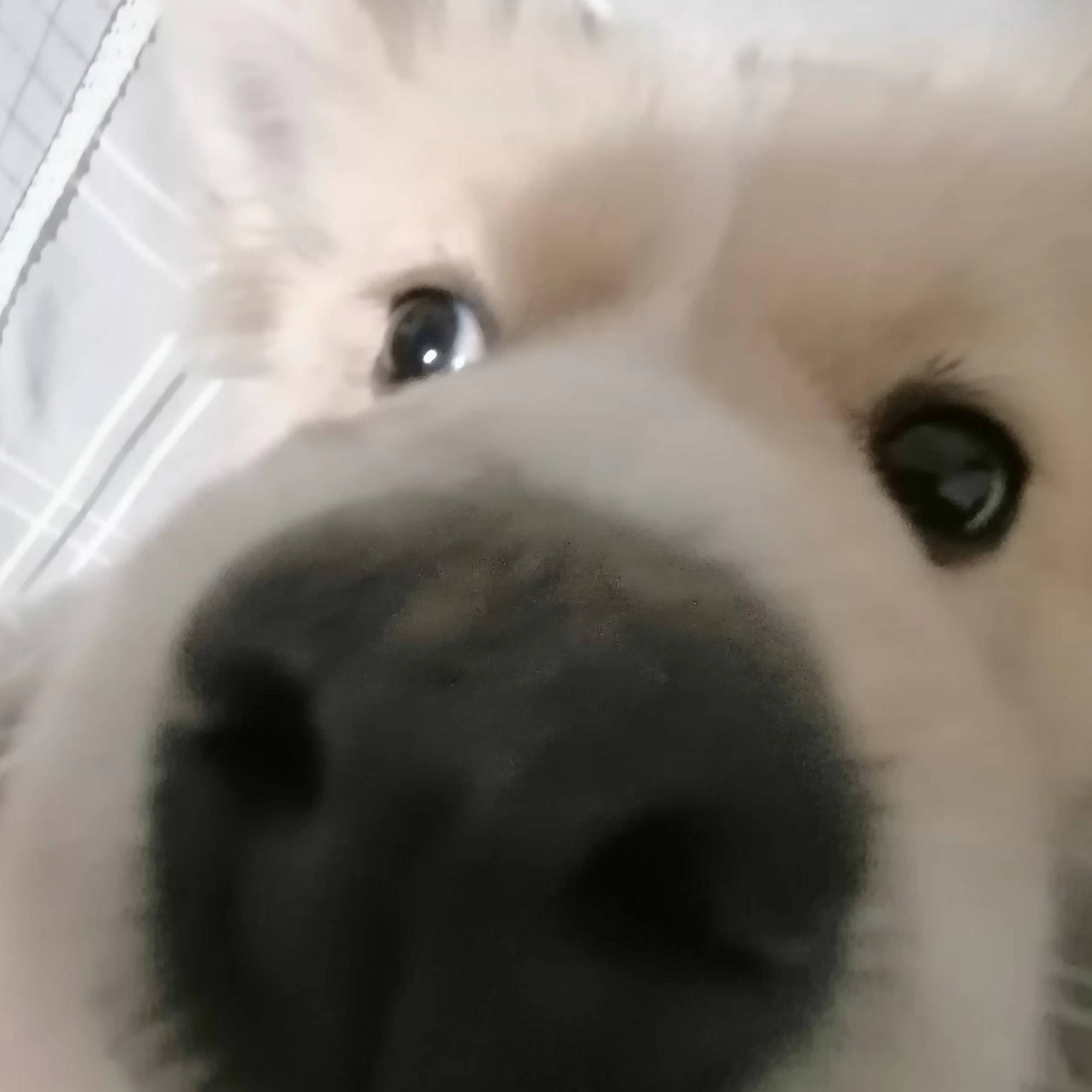 ������