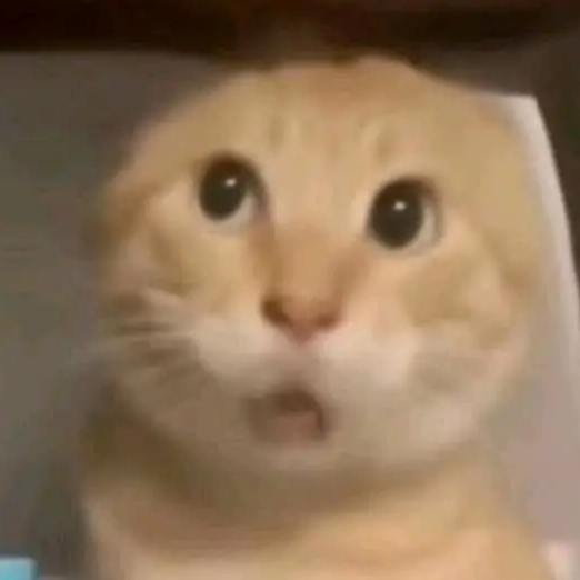������