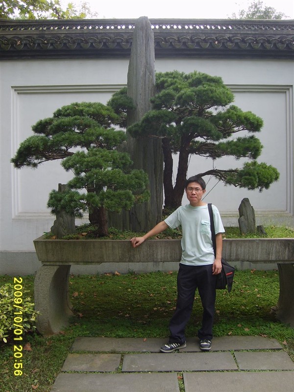 ������